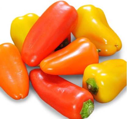 Qualtivate PUAS-3A Pretty N Sweet Bell Pepper Seed