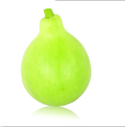 CYBEXIS NDIR-51 - Bottle Gourd - (900 Seeds) Seed