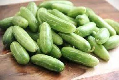 ACMS Ivy gourd \Tindora\Kowai Fruitpointed gourd- parwal-potol-kambupudlai organic Seed