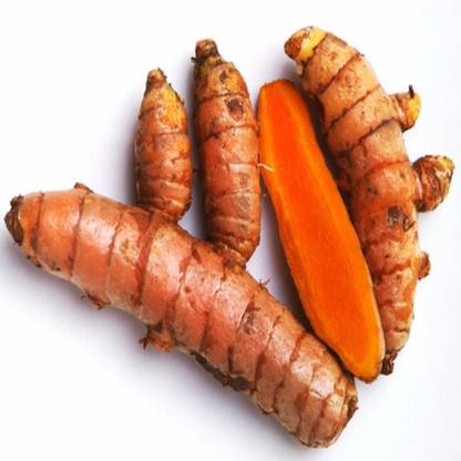 Lorvox Turmeric, Kachi Haldi, kacha Holu Seed