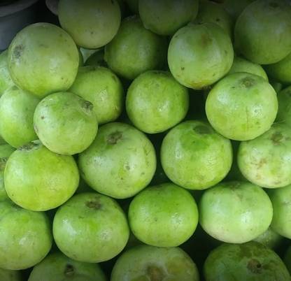 CEZIUS Tinda Gourd Tinda Vegetable Apple Gourd Seed