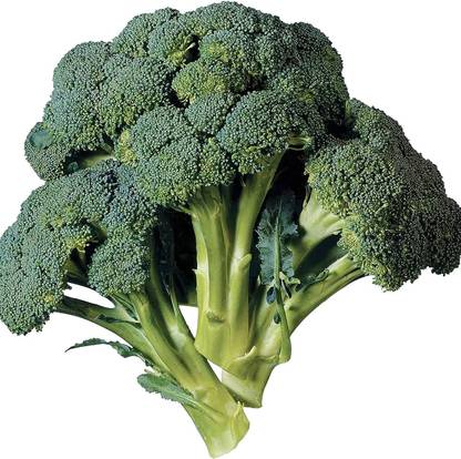 WILLVINE NKR -VII Aspabroc Hybrid Broccoli Seeds Easy to Grow [25g] Seed