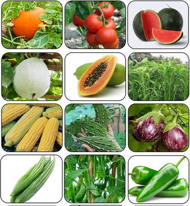 abiswas Combo Of 10 Variety Summer Season Vegetable 3100+ Seed