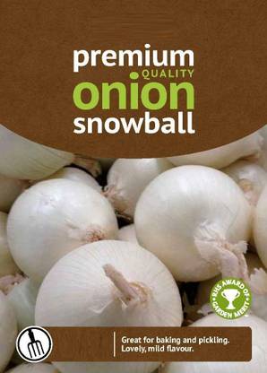 KNESSiN Large Snowball Winter Onion Sets [600 Seeds] Seed