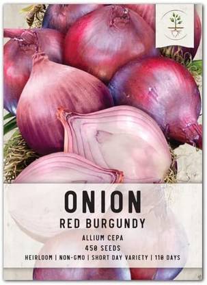 CYBEXIS NDIR-85 - Red Burgundy Onion - (1500 Seeds) Seed