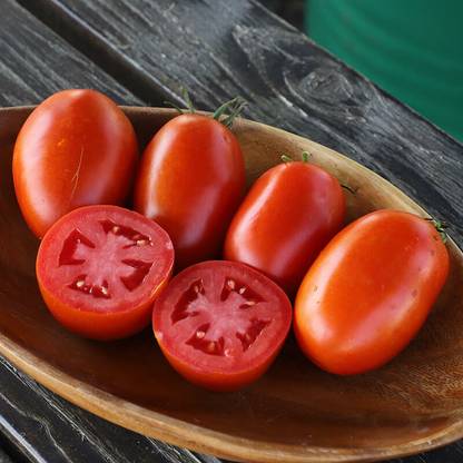 VRAKSHA Tomato Davinci Seed