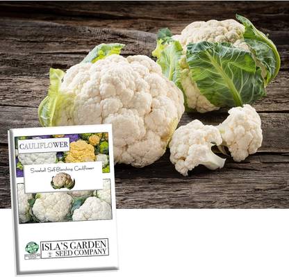 WILLVINE PUAS -X "Snowball Self-Blanching" Cauliflower [25g, 7500 Seeds] Seed