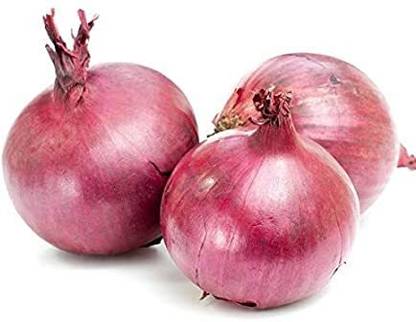 Qualtivate XXX-3A Onion for Kitchen Gardening Seed