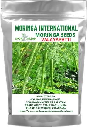 MORINGA INTERNATIONAL VALAYAPATTI MORINGA SEEDS Seed