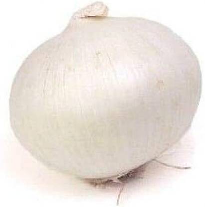 Qualtivate RES-1A White Bermuda Onion - Heirloom Variety Seed