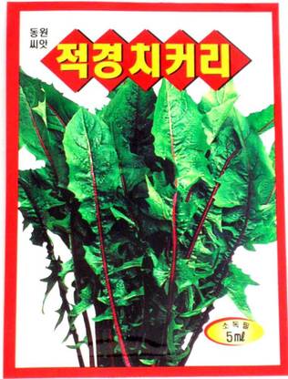VibeX PUAS-43 - Celery Korean - (250 Seeds) Seed