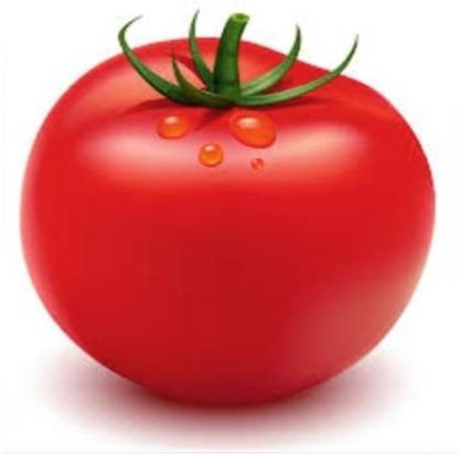 KNESSiN Quick Grow Natural Tomato[400 Seeds] Seed