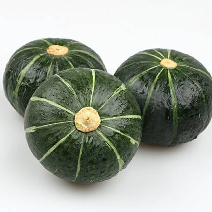 Farmonix Mini Chinese pumpkin Round pumpkin Seed