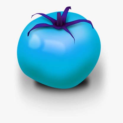 CYBEXIS Heirloom Blue Tomato Seeds500 Seeds Seed