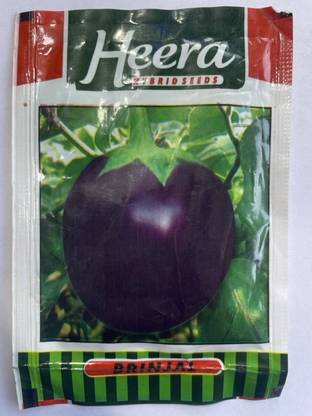HEERA heera seeds Seed