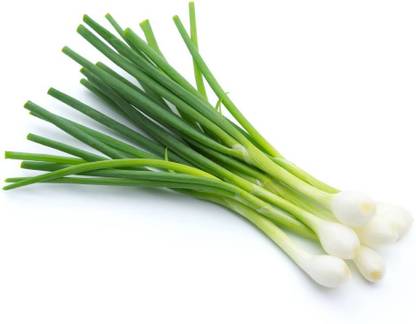 Biosnyg Green Onion Seeds [250 Seeds] Seed