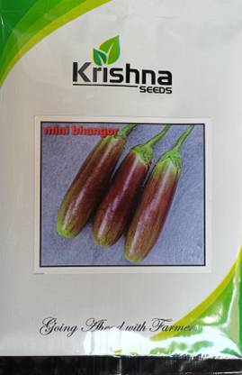 Krishnaseeds Bhangar brinjal Seed