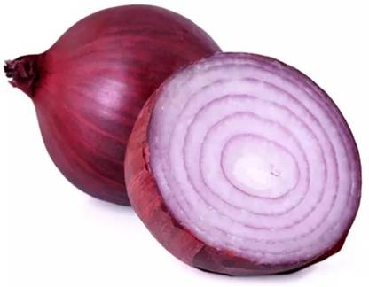 Yug Red Onion Vegetable Onions Seed