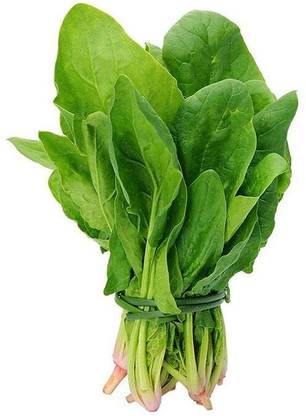 Aywal palakura, Malabar spinach, ceylon spinach, bachai kura, Palak Seed