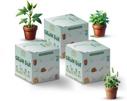 Sattvishtik Grow Box Protein Power Combo - Beans, Peas, Lady FInger Seeds Plant DIY Kit Seed
