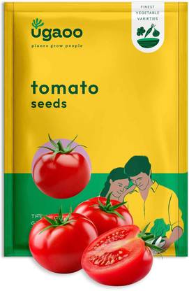 UGAOO Tomato Vegetable Seed