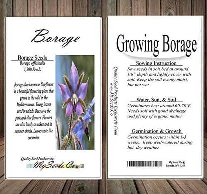 VibeX KGF -71 - Blue Borage Herb - (450 Seeds) Seed
