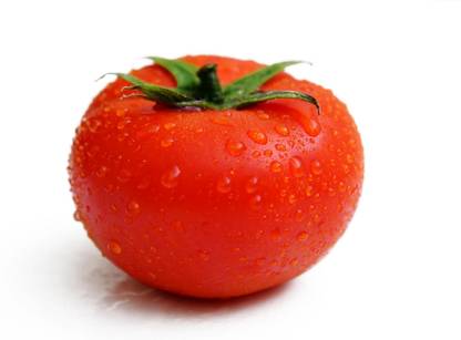 Avysa PONDEROSA RED TOMATO Seed