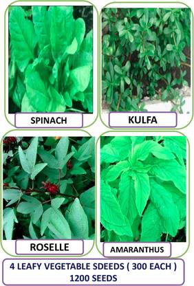 VS GLOBAL high germination 4 leafy vegetable ( each 300 ) Seed