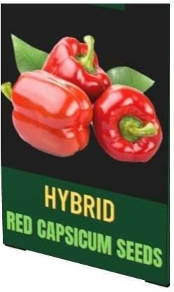 CYBEXIS VVI-38 - CAPSICUM Big Red Chili Pepper - (150 Seeds) Seed