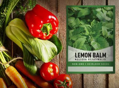 Qualtivate NDIR-101 Lemon Balm Capricata Citronella Seed