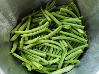 Avysa French beans/Runner beans Seed