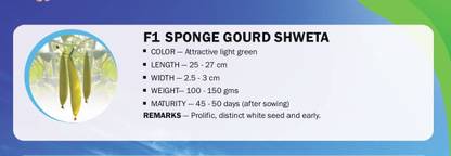 CYBEXIS F1 SPONGE GOURD SHWETA(100 Seeds) Seed