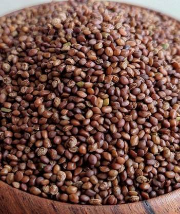 Agromate HEDGE LUCERN, DASHRATH GHAS, VELIMASAL, DASMANTHUS, MULTICUTTING 3 to 4 Year, PACK OF 2kg Seed