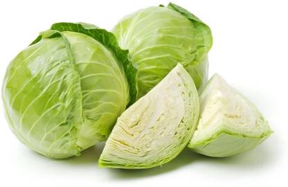 eShoptail Salad Cabbage F1 Hybrid Seeds (Patta Gobhi) Seed