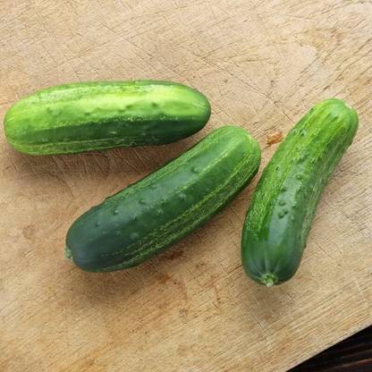 Qualtivate GBPT-3A Cucumber - Eureka Variety Seed
