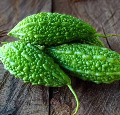 jkfarm Bitter Gourd, Karola Seed
