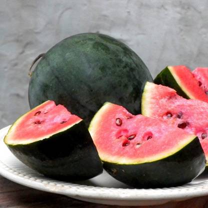 VibeX XLL-52 - Sugar Baby Watermelon - (150 Seeds) Seed