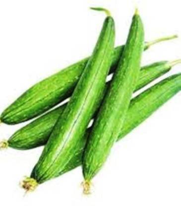 CYBEXIS GUA-66 - Sponge Gourd Vegetable - (100 Seeds) Seed