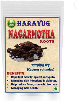 HARAYUG Nagarmotha Roots Powder - Nagarmotha Jadd Nutsedge Grass - Nut Cyperus Rotundus