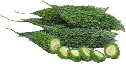 BDSresolve Indian Bitter gourd seeds PACK OF 13 Seed