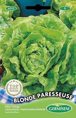 CYBEXIS Blonde Paresseuse Lettuce Seeds2000 Seeds Seed