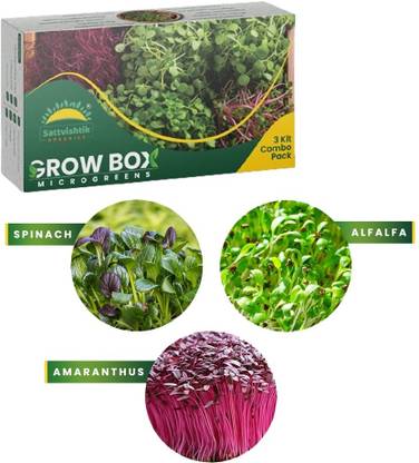 Sattvishtik Vitality Green Combo ( Amaranthus, Spinach & Alfalfa) Kit, DIY Microgreens Kit Seed