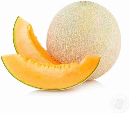 VibeX NDIR-34 - MUSKMELON F-1 HYBRID US-111 - (150 Seeds) Seed
