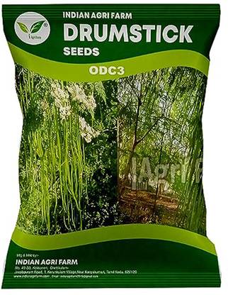 IAgriFarm Moringa / Drumstick Seeds - ODC3 Variety - 180 gram for Plantation Seed