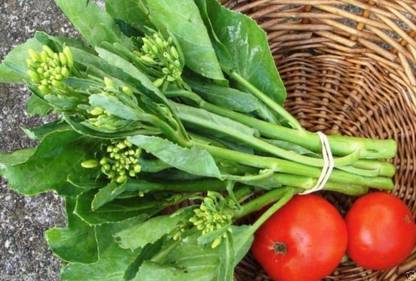 VibeX ® RXI-436 Chinese Broccoli Seeds,Kai LAN,GAI LAN Seed
