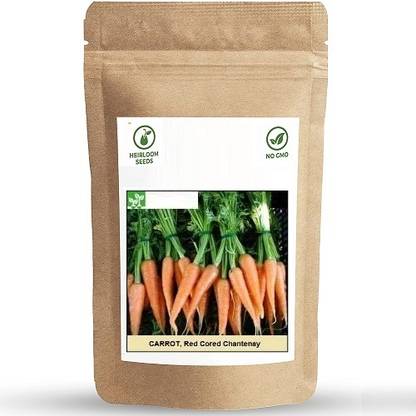 Biosnyg Red Cored Chantenay Carrot[500 Seeds] Seed