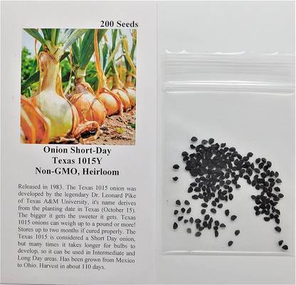 VibeX PUAS-43 - Onion Texas Grano(Yellow) - (1500 Seeds) Seed