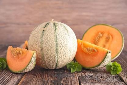 VibeX LXI-56 - Sweet and Delicious muskmellon - (150 Seeds) Seed