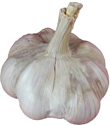 Aywal Garlic Seed