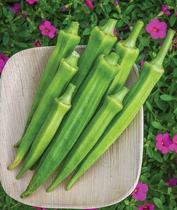 GREENIFY Baby Bubba Okra Seeds Seed